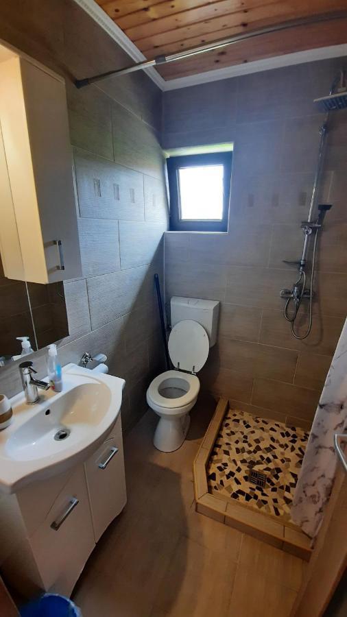 Casa De Vacanta Two Brothers Concept Paltinis Luaran gambar