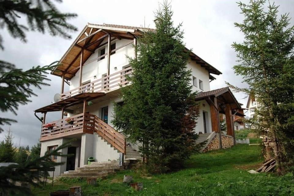 Casa De Vacanta Two Brothers Concept Paltinis Luaran gambar